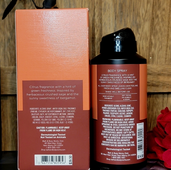 B&BW Sage & Bergamot 2-Pc Men's Collection Bodycare Set - Picture 3 of 3